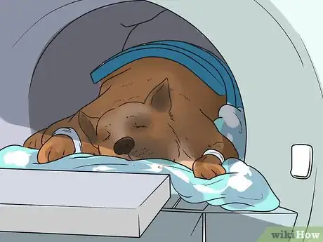 Image titled Diagnose Epilepsy in German Shepherds Step 11