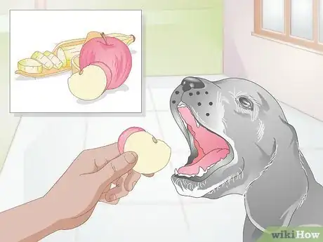 Image titled Choose Healthy Treats for a Senior Dog Step 2