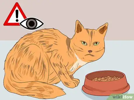 Image titled Prevent Jealousy in Current Pets when Getting a New Dog Step 5