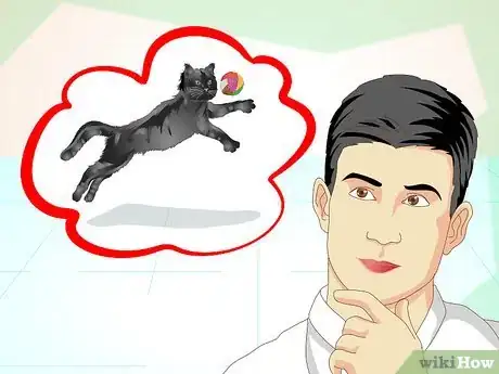 Image titled Train an Old Stubborn Cat to Do Tricks Step 1