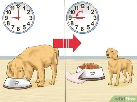 Image titled Help a Dog Adjust to Your Household Routine Step 5