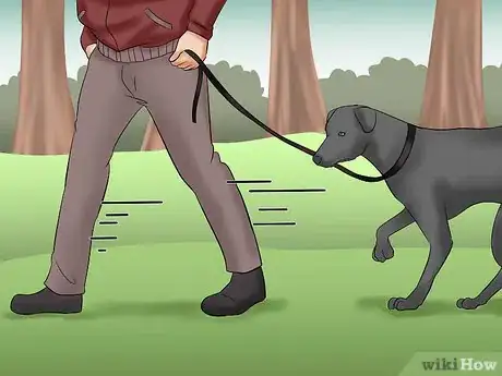 Image titled Walk a Dog in the Woods Step 8