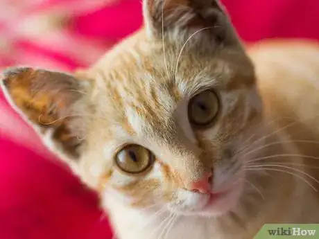 Image titled Draw Using Negative and Positive Space Step 7