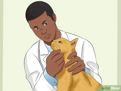Image titled Treat Feline Retinal Disease Step 4