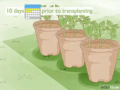 Image titled Grow Sweet Peppers Step 5