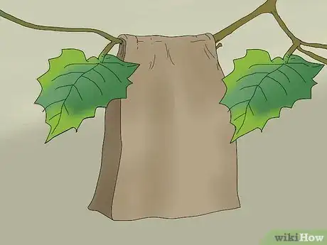 Image titled Protect Grapes from Birds Step 5