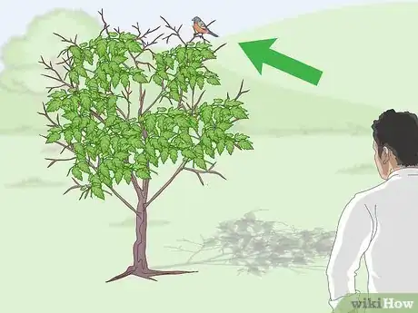 Image titled Trap a Robin Bird Step 9