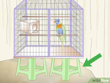 Image titled Clean and Maintain Lory and Lorikeet Habitats Step 9