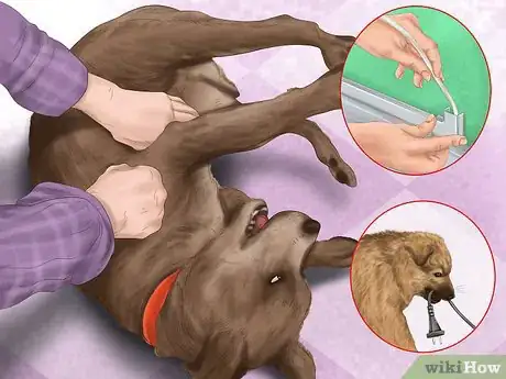 Image titled Make Your House a Better Place for Animals Step 1