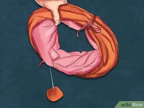 Image titled Use Cat Tunnels Step 11