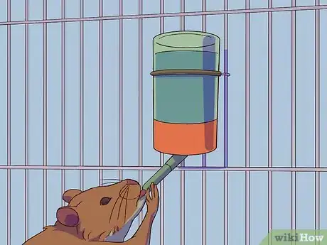 Image titled Feed a Gerbil Step 3