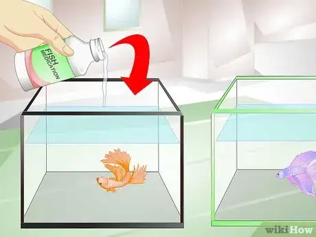 Image titled Provide a Protective Breeding Environment for Betta Fish Step 7