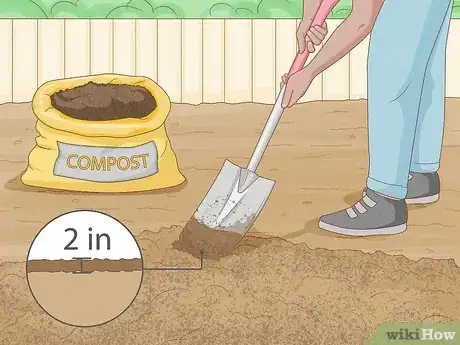 Image titled Grow Maca Step 8