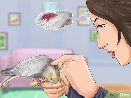Image titled Deal with Cockatiel Night Frights Step 3