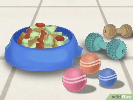 Image titled Take Pets on Beach Vacations Step 10