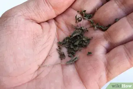 Image titled Dry Sage Step 13
