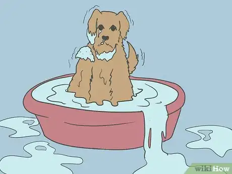 Image titled Teach Children to Care for Pets Step 7