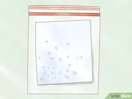 Image titled Germinate Seeds Guaranteed Without Soil or Medium for Garden or Hydroponics Step 4