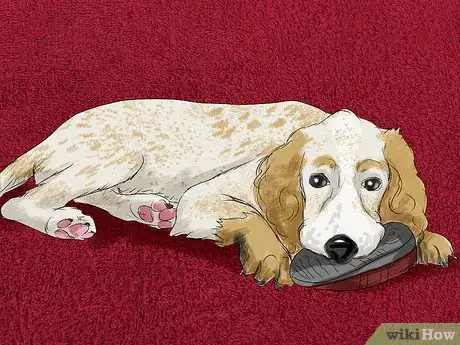 Image titled Choose a Name for a Pet Step 2