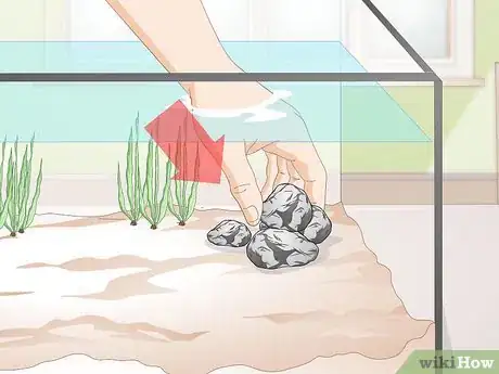 Image titled Do a Water Change in a Freshwater Aquarium Step 12