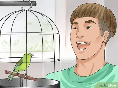 Image titled Perch Train Your Parakeet Step 5