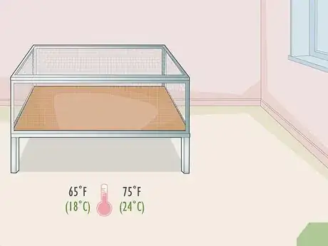 Image titled Prepare for Your New Guinea Pig Step 5