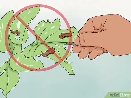 Image titled Prepare Your Yard for Summer Step 8