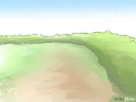 Image titled Grow Butterfly Weed Step 2