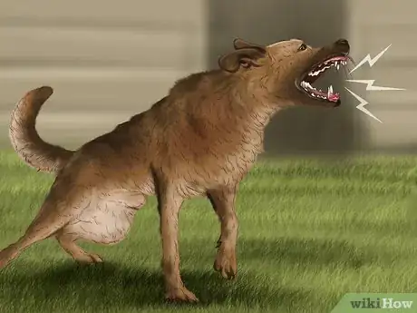 Image titled Approach an Unfamiliar Dog Step 1