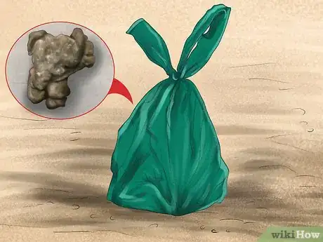 Image titled Care for Your Dog on the Beach Step 16