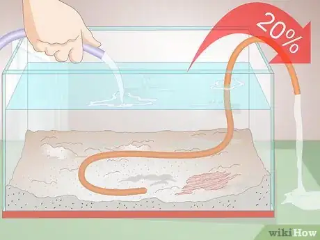 Image titled Cure Red Slime Algae in Marine Aquariums Step 1