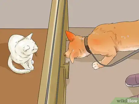 Image titled Dog‐Sit when You Have a Small Pet Step 7