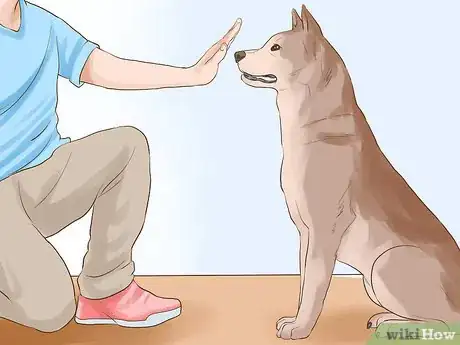 Image titled Adopt Multiple Dogs at One Time Step 4