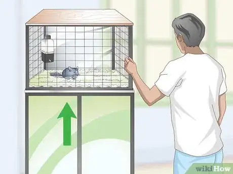 Image titled Help Your Chinchilla Adjust to its New Home Step 2