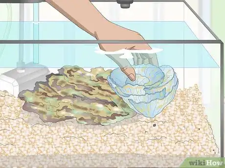 Image titled Start a Saltwater Reef Tank Step 20