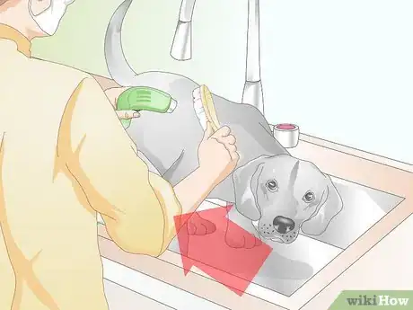 Image titled Choose Grooming Tools for an Aging Dog Step 5