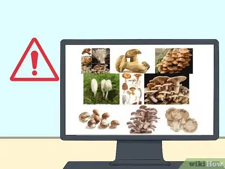Image titled Identify Mushrooms Step 13