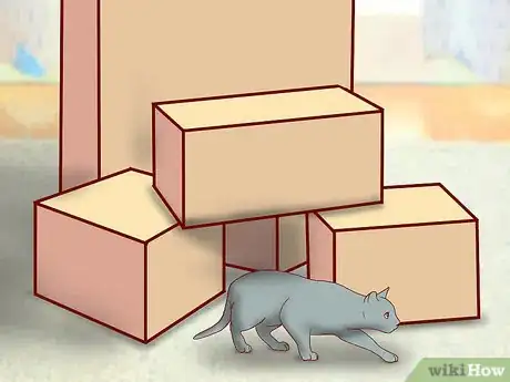 Image titled Choose Toys for a Senior Cat Step 4