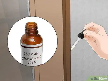 Image titled Get Rid of Spiders Outside Your Door Step 9