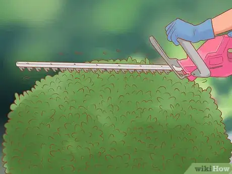 Image titled Prune Flowers Step 9