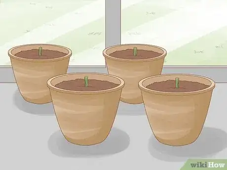 Image titled Breed Purple Roses Step 6