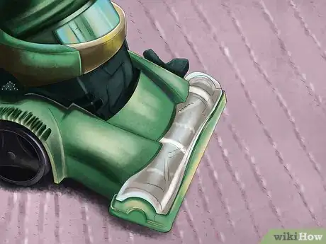 Image titled Prevent Ticks on Cats Step 5