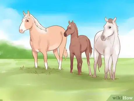 Image titled Pet a Wild Horse Step 1