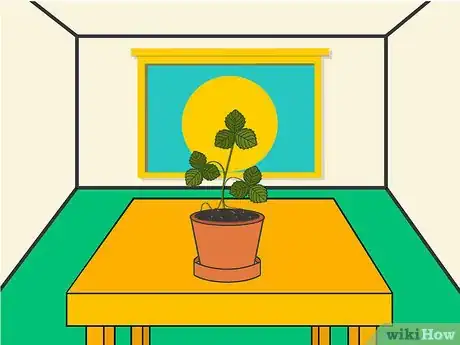 Image titled Grow Strawberries Step 15