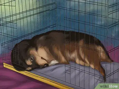 Image titled Adopt a Rottweiler Step 17