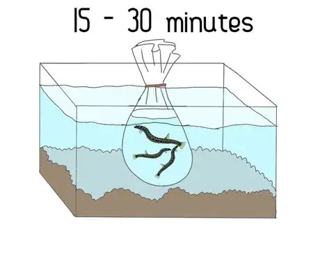 Image titled Types of bottom feeders45678765345186