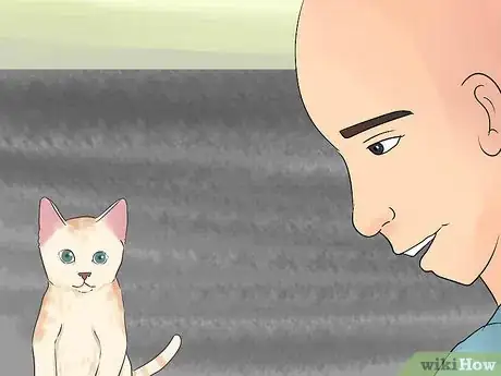 Image titled Take Care of Pets During a Hurricane Step 9