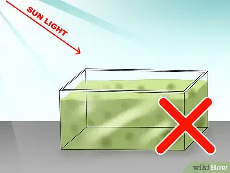 Image titled Take Care of a Siamese Fighting Fish Step 4