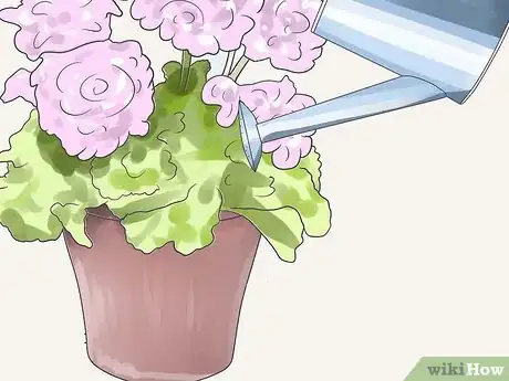 Image titled Care for Geraniums in Winter Step 7