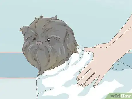 Image titled Groom an Affenpinscher Step 13